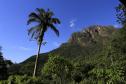 Parque Estadual Pico do MarumbiFoto: Arnaldo Alves / ANPr.