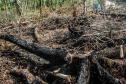 O Batalhão de Polícia Militar Ambiental e o Instituto Ambiental do Paraná (IAP) fizeram na manhã deste sábado (06/02) uma fiscalização em uma região de invasão e desmatamento localizada no Parque Estadual Rio da Onça, em Matinhos (PR) no Litoral do Estado