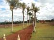 IAP estabelece a criação do Conselho Consultivo do Parque Estadual Mata São Francisco, entre Cornélio Procópio e Santa Mariana.Foto: Divulgação IAP
