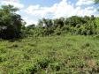 Parceria entre o Governo do Estado, por meio do Instituto Ambiental do Paraná (IAP), a Estação Ecológica de Palmital, município da região Central do Paraná, mudou a relação da população local com o meio ambiente. Palmital, 15/03/2017.Foto: Divulgação IAP