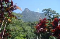 Serra do Mar