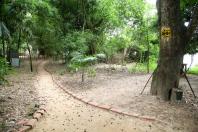 Rio Paraná