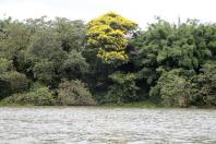 Ilhas e rios do Paraná