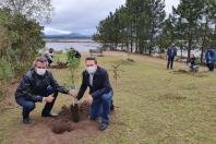 plantio de árvores no Rio Iraí