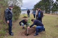 plantio de árvores no Rio Iraí