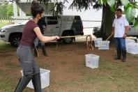 Começa nesta sexta-feira (30) as inscrições para 3ª edição da Residência Técnica em Engenharia e Gestão Ambiental. Ao todo, são 100 vagas em 21 cidades do Paraná para profissionais recém-formados. As inscrições serão feitas exclusivamente pela internet, até o dia 12 de novembro no link: www.cps.uepg.br/externos. 