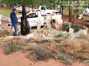 Apreensão pesca predatória