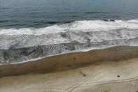 moradores apoiam as obras do litoral