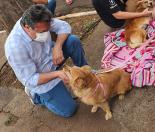 Organizações da Sociedade Civil (OSCs) e protetores independentes de animais de Foz do Iguaçu recebem, entre 11 e 21 deste mês, o Programa Permanente de Esterilização de Cães e Gatos, desenvolvido pela Secretaria de Estado do Desenvolvimento Sustentável e do Turismo