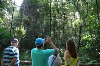 Foz do Iguaçu - Parque das Aves.