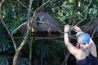 Foz do Iguaçu - Parque das Aves