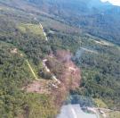 Corte irregular de vegetação Nativa no Litoral