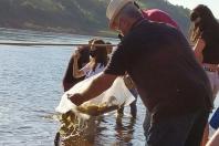 peixamento