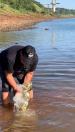 peixamento