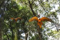 Parques das Aves