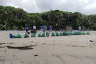 Junho foi marcado com ações em prol do meio ambiente. A Sedest e o IAT promoveram lives, distribuição de mudas em troca de alimentos, produção de vídeos institucionais e campanha nas redes sociais. O objetivo foi despertar a educação ambiental em toda a sociedade - Curitiba, 30/06/2021 - Foto: Filipe Pedroso de Oliveira