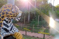 ARARUNA - O projeto Parques Urbanos do Paraná é o maior do Brasil, afirmou o secretário estadual do Desenvolvimento Sustentável e do Turismo, Márcio Nunes. Ele esteve nesta semana na região Noroeste para acompanhar as obras de quatro Parques Urbanos. São áreas de fundo de vale que serão recuperadas e reaproveitadas como espaços de lazer e turismo aos moradores, aliado à preservação ambiental. - 02/07/2021 - Foto: Divulgação SEDEST