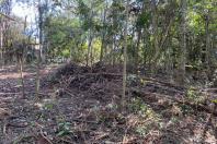 CIANORTE - O projeto Parques Urbanos do Paraná é o maior do Brasil, afirmou o secretário estadual do Desenvolvimento Sustentável e do Turismo, Márcio Nunes. Ele esteve nesta semana na região Noroeste para acompanhar as obras de quatro Parques Urbanos. São áreas de fundo de vale que serão recuperadas e reaproveitadas como espaços de lazer e turismo aos moradores, aliado à preservação ambiental. - 02/07/2021 - Foto: Divulgação SEDEST