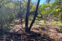 CIANORTE - O projeto Parques Urbanos do Paraná é o maior do Brasil, afirmou o secretário estadual do Desenvolvimento Sustentável e do Turismo, Márcio Nunes. Ele esteve nesta semana na região Noroeste para acompanhar as obras de quatro Parques Urbanos. São áreas de fundo de vale que serão recuperadas e reaproveitadas como espaços de lazer e turismo aos moradores, aliado à preservação ambiental. - 02/07/2021 - Foto: Divulgação SEDEST