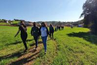 Capacitação Outorga