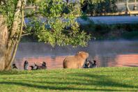 Mais 13 municípios batem recorde de temperaturas baixas para o ano no Paraná