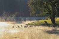 Mais 13 municípios batem recorde de temperaturas baixas para o ano no Paraná