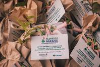 Campanha Floresce PR