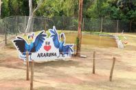 Parque Urbano Araruna