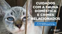 Duas lives, nesta quinta e sexta-feira (07 e 08) destacam os cuidados e a criminalização aos animais domésticos e silvestres no Estado do Paraná. As lives começam às 16 horas, transmitidas ao vivo pelo Canal do Youtube da Secretaria do Desenvolvimento Sustentável e do Turismo (Sedest). - Foto: SEDEST