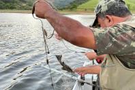 Em força-tarefa, o Instituto Água e Terra (IAT) apreendeu equipamentos de pesca irregular e se deparou com crimes ambientais ao longo da Represa do Capivari, em Campina Grande do Sul, na Região Metropolitana de Curitiba (RMC).