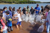 O rio Mourão, localizado no município de Campo Mourão, recebeu duas ações de repovoamento da fauna aquática nesta sexta-feira (03), totalizando 300 mil novos peixes nativos. Pelo Programa Rio Vivo, desenvolvido pela Secretaria do Desenvolvimento Sustentável e do Turismo (Sedest), 250 mil peixes foram soltos no rio, pertencente à Bacia Hidrográfica do Rio Ivaí. - Curitiba, 03/12/2021 Foto: Alessandro Vieira/Sedest