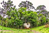 Turismo Rural