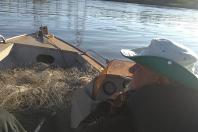Pesca predatória