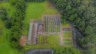 App Paraná Mais Verde