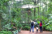 Parque das Aves