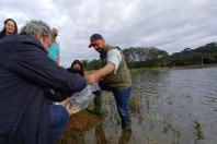 Soltura des peixs