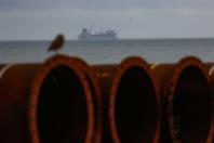 Lançamento da engorda de Matinhos