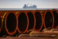 Lançamento da engorda de Matinhos