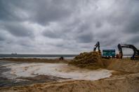 Lançamento da engorda de Matinhos