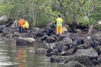 Recolhimento de lixo