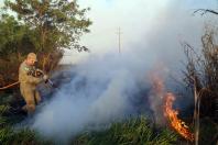 Estado alerta para necessidade de cuidados contra incêndios florestais. Foto: Gilson Abreu/ANE