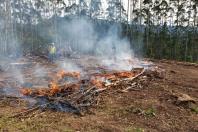 Estado alerta para necessidade de cuidados contra incêndios florestais. Foto: Corpo de Bombeiros do Paraná