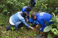 Educação ambiental