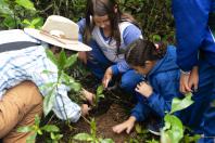 Educação ambiental