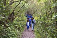 Educação ambiental