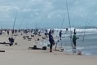 Com apoio do Projeto Rio Vivo, torneios de pesca resultam em recursos aos municípios paranaenses - Foto: SEDEST