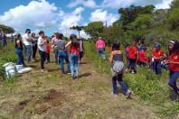 Dia do Rio é marcado com plantio de 100 mil mudas nas margens das bacias hidrográficas Foto: IAT