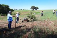 Dia do Rio é marcado com plantio de 100 mil mudas nas margens das bacias hidrográficas Foto: IAT