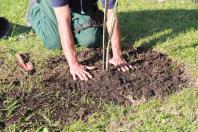 Boas práticas ambientais dão ao Paraná reconhecimento nacional em sustentabilidade