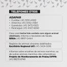 Influenza Aviária